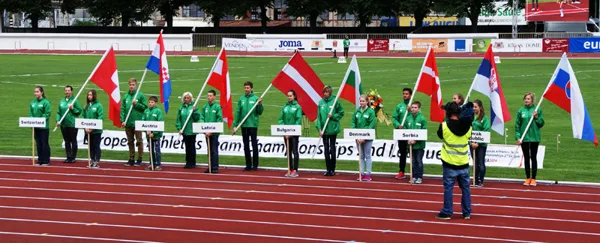 Eiropas komandu čempionāts II līga 2014