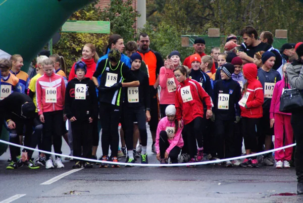 Smiltenes apļi 2013