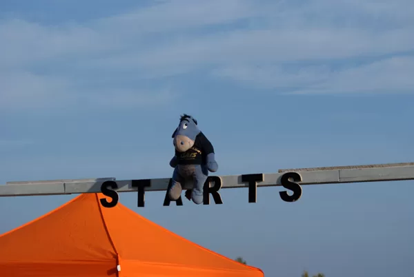 Vidzemes reģiona (Gauja) rudens kross 2016