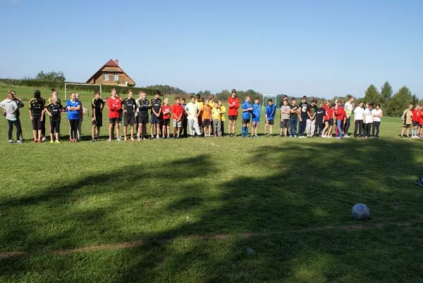 Zelta bucis 2014